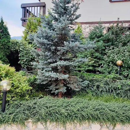 Lux Olga Апартамент *