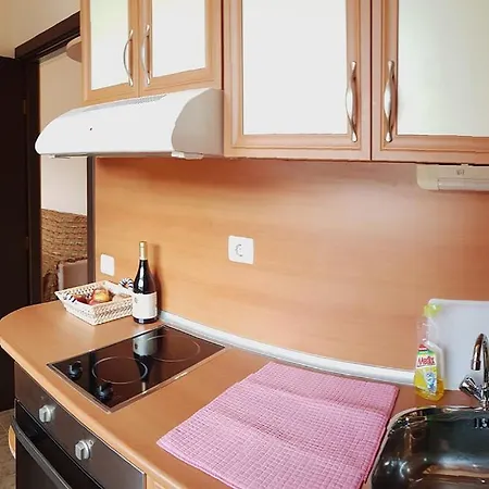 Апартамент Lux Olga *
